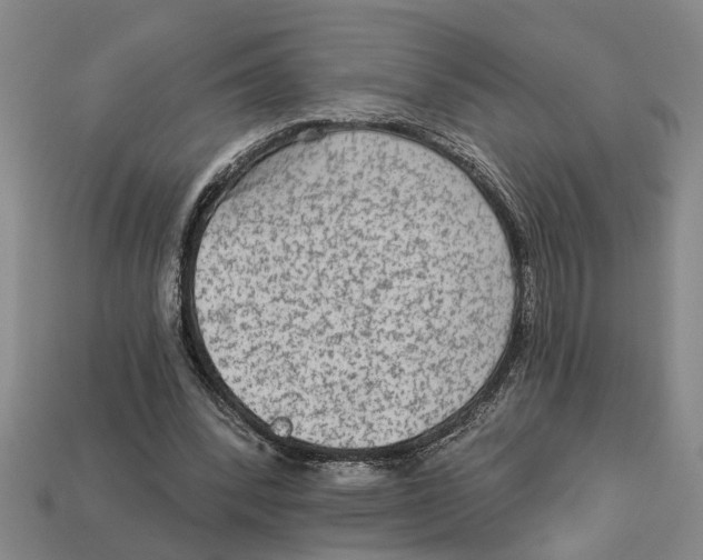 X0000113020392200909241639