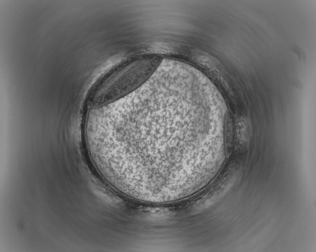 X0000113020395200909241639