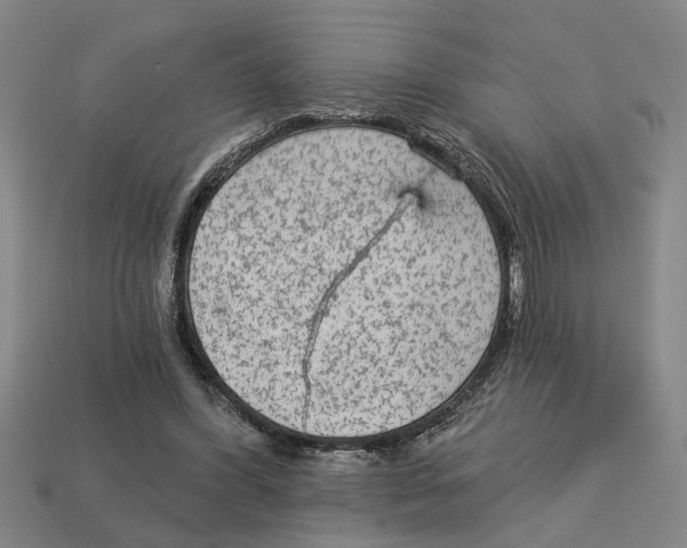 X0000113020396200909241639