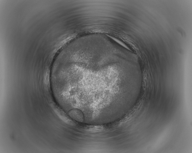 X0000113020398200909241639