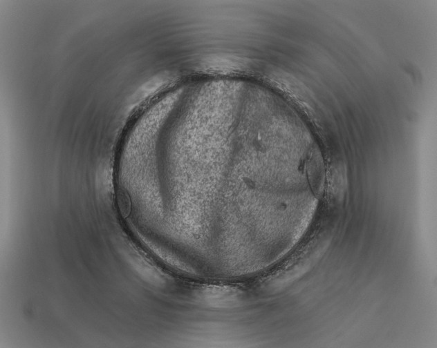 X0000113020399200909241639