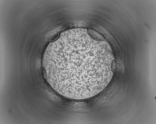 X0000113020401200909241639