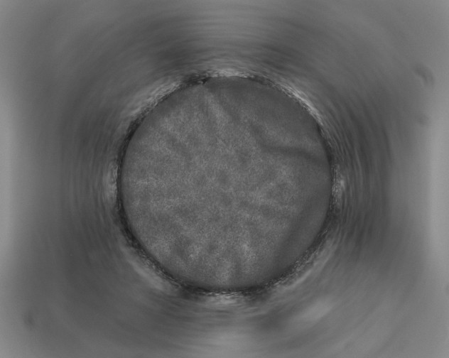 X0000113020402200909241639