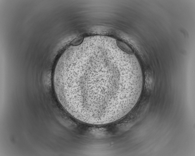 X0000113020403200909241639