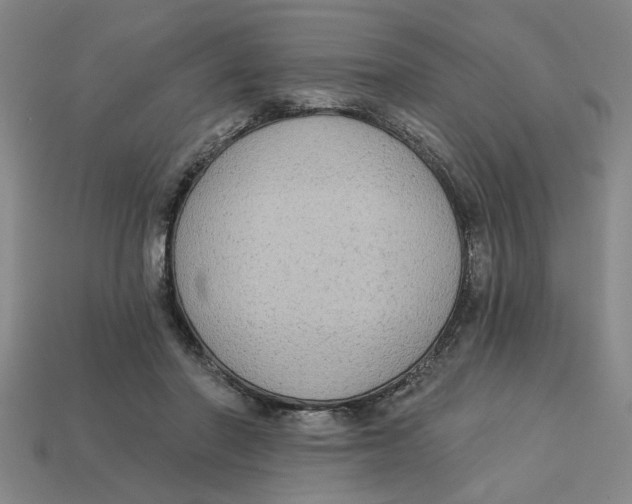 X0000113020406200909241639