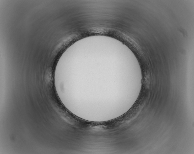 X0000113020407200909241639