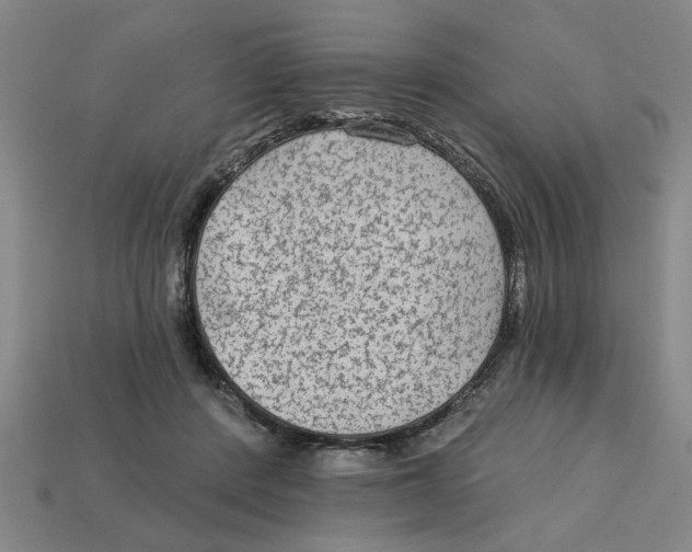 X0000113020408200909241639