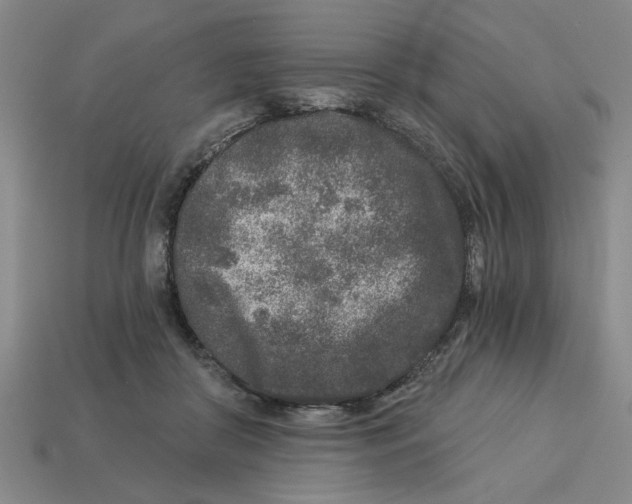 X0000113020410200909241639