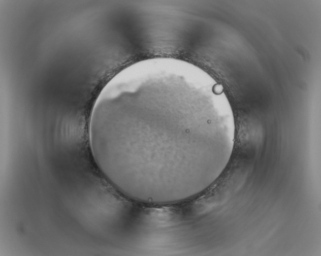 X0000113020411200909241639