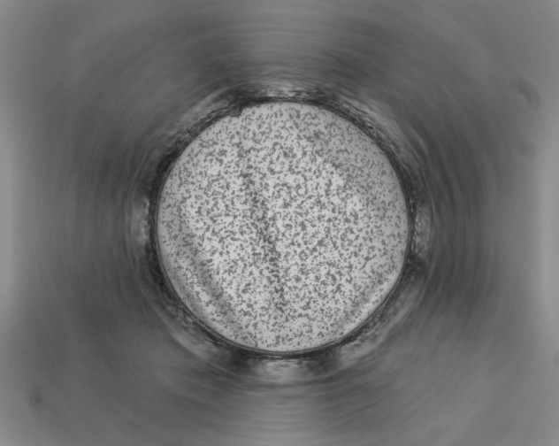 X0000113020413200909241639