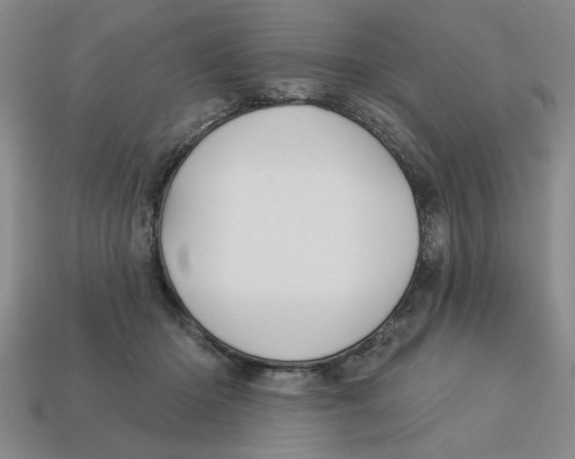 X0000113020414200909241639