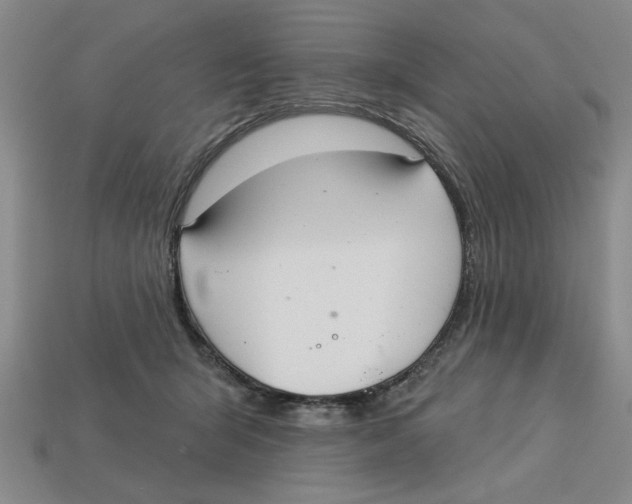 X0000113020415200909241639