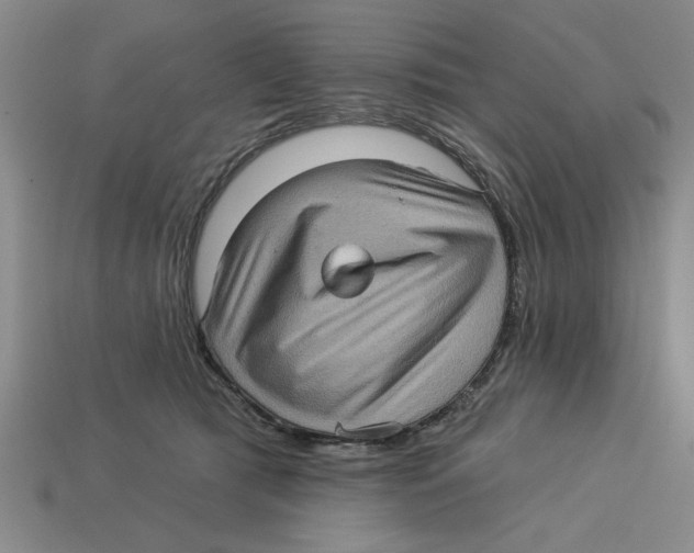 X0000113020417200909241639