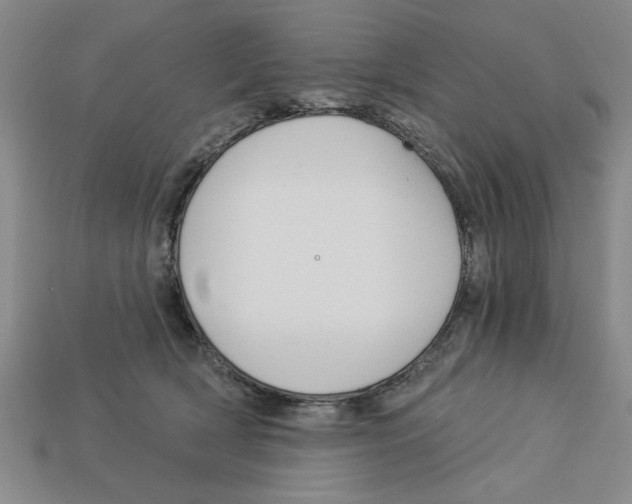 X0000113020418200909241639