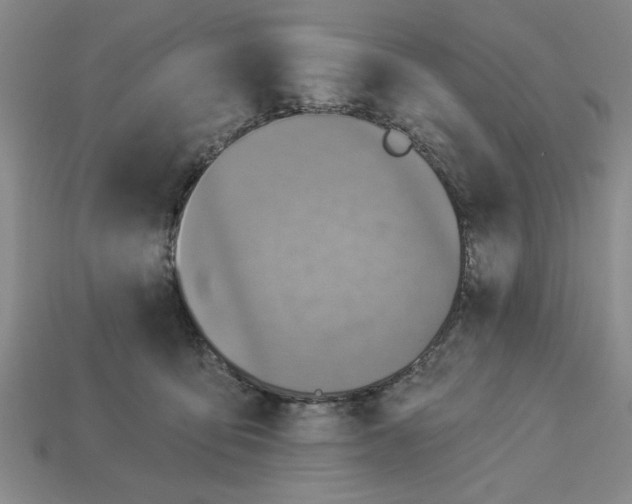 X0000113020419200909241639