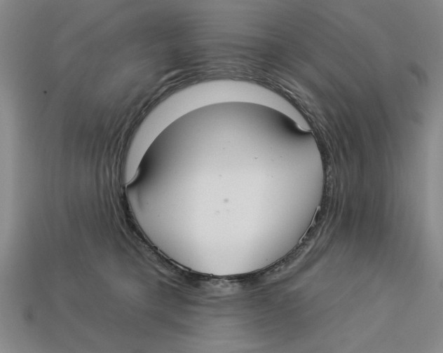 X0000113020421200909241639