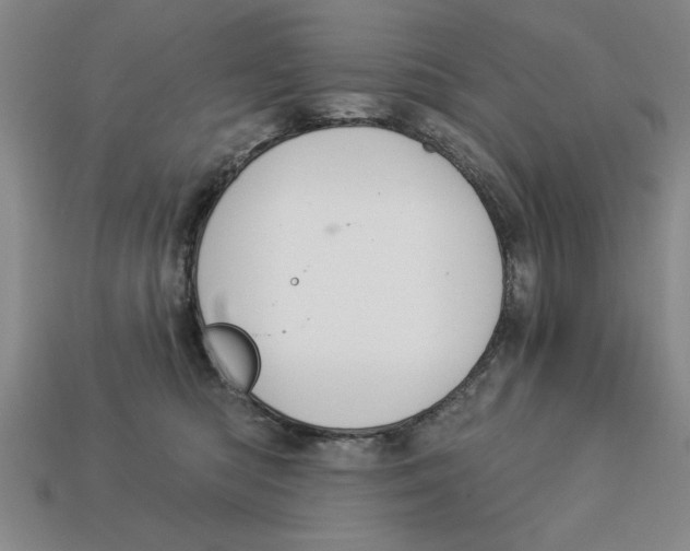 X0000113020422200909241639