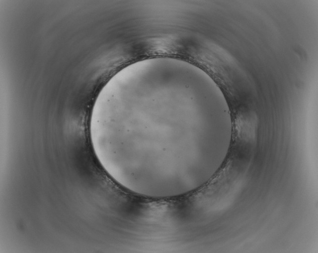 X0000113020423200909241639