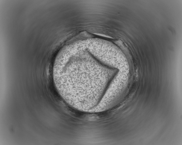 X0000113020424200909241639