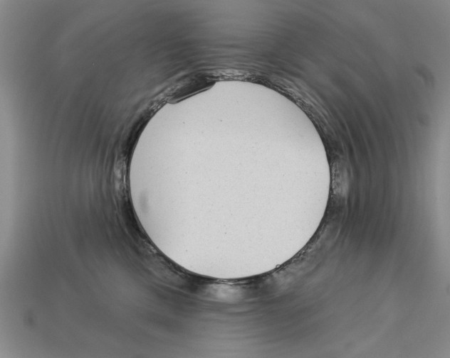 X0000113020425200909241639