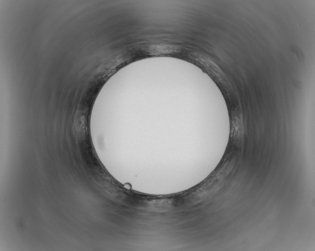 X0000113020426200909241639