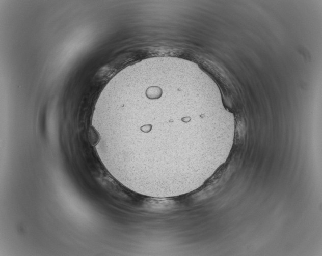 X0000113020429200909241639