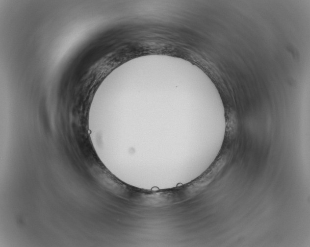 X0000113020430200909241639