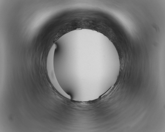 X0000113020431200909241639