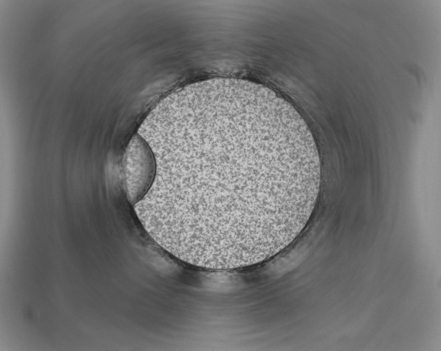 X0000113020432200909241639