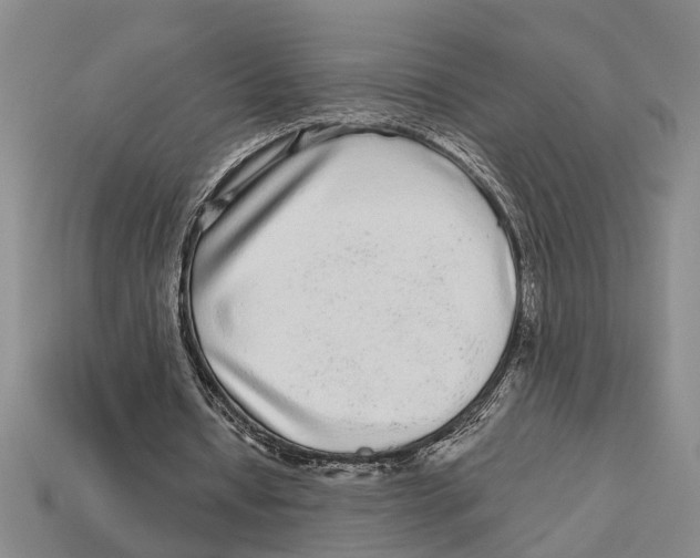 X0000113020434200909241638