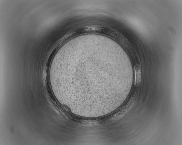 X0000113020435200909241638