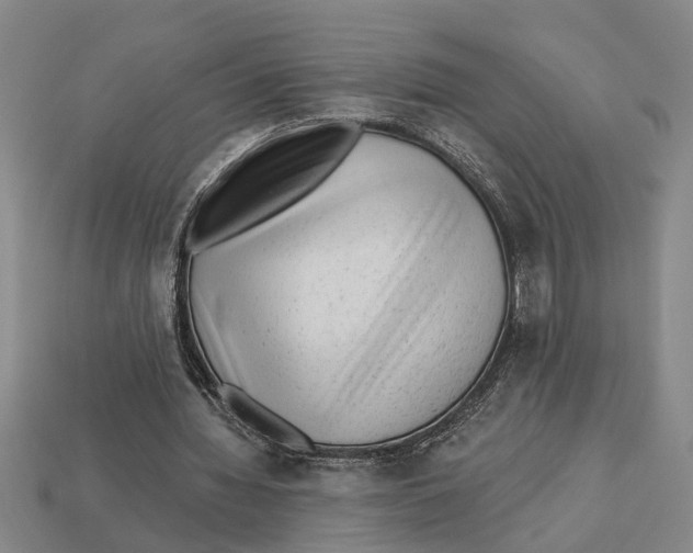 X0000113020436200909241638