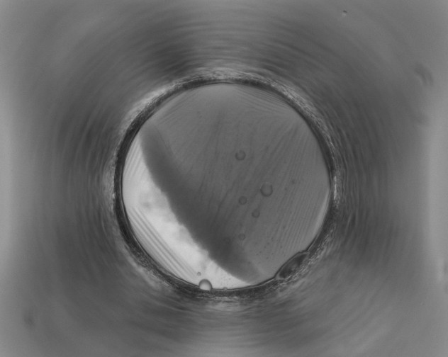 X0000113020438200909241638