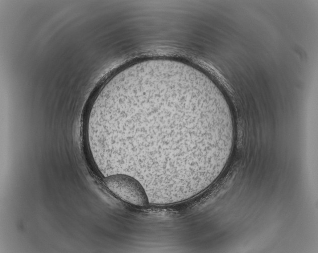 X0000113020439200909241638