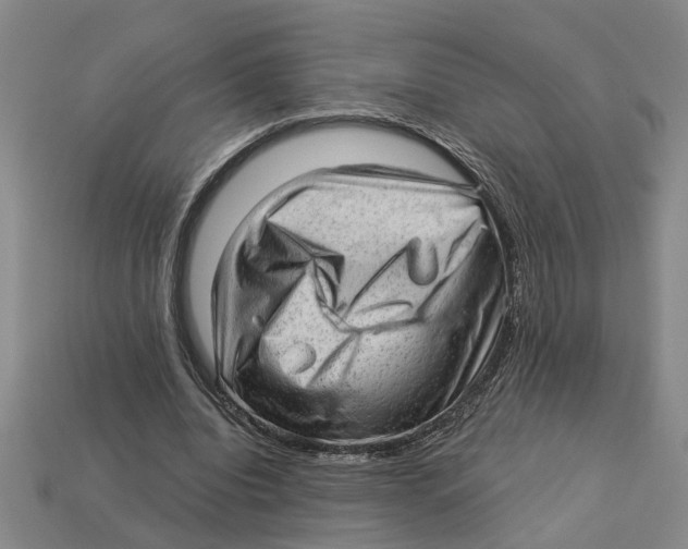 X0000113020440200909241638