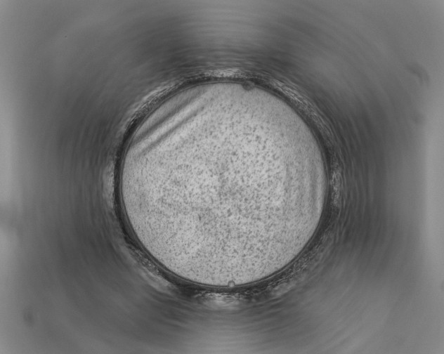 X0000113020442200909241638