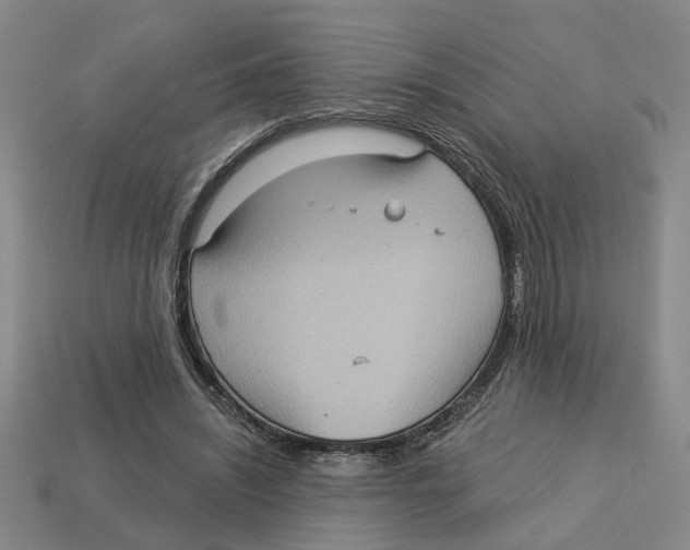 X0000113020444200909241638