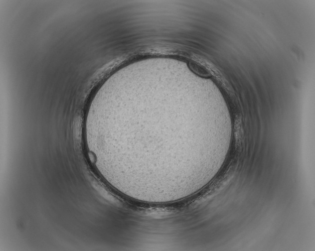 X0000113020445200909241638