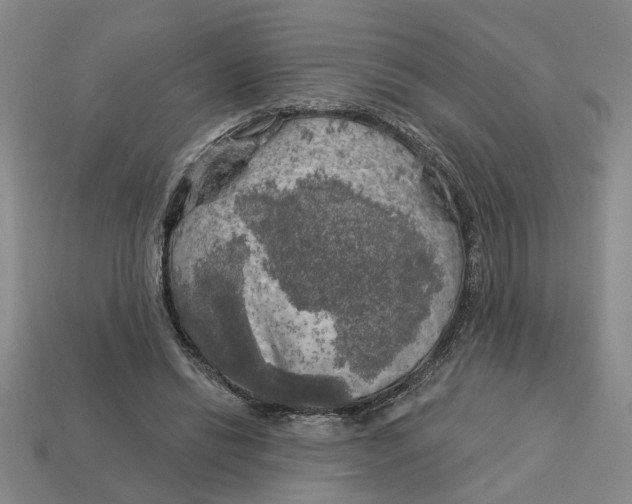 X0000113020446200909241638