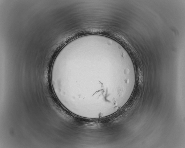 X0000113020447200909241638