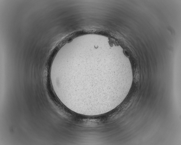 X0000113020448200909241638