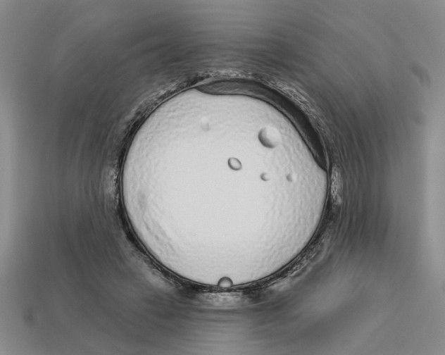 X0000113020449200909241638