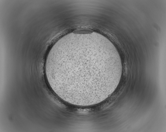 X0000113020450200909241638