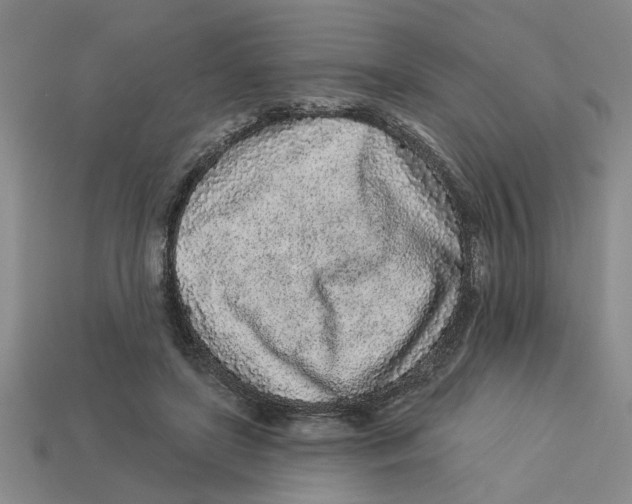 X0000113020451200909241638