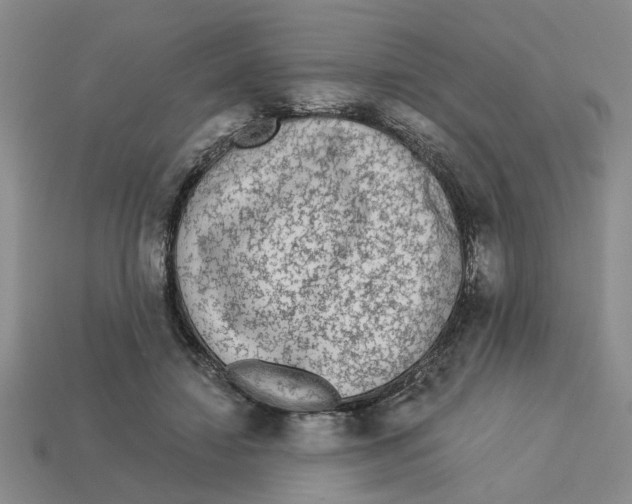 X0000113020452200909241638