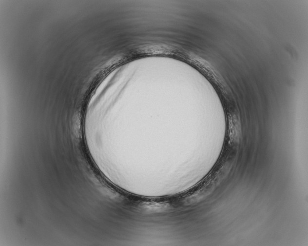 X0000113020453200909241638