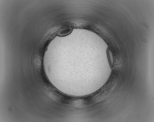 X0000113020456200909241638