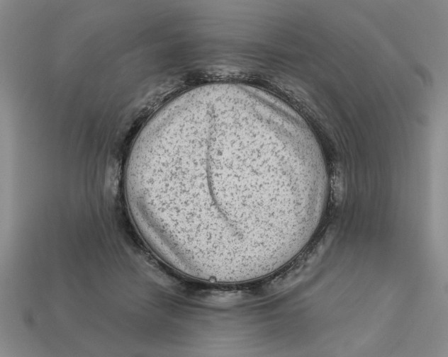 X0000113020458200909241638