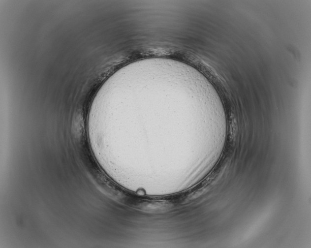 X0000113020459200909241638