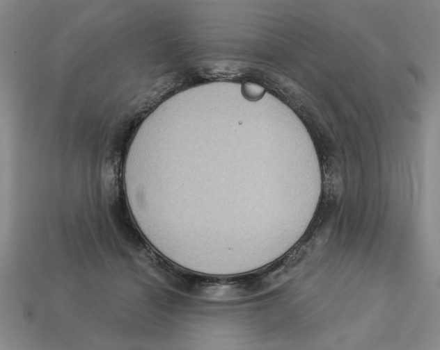 X0000113020460200909241638